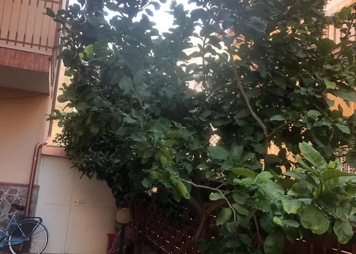 Appartamento Casa Donatella A Isola Isola delle Femmine